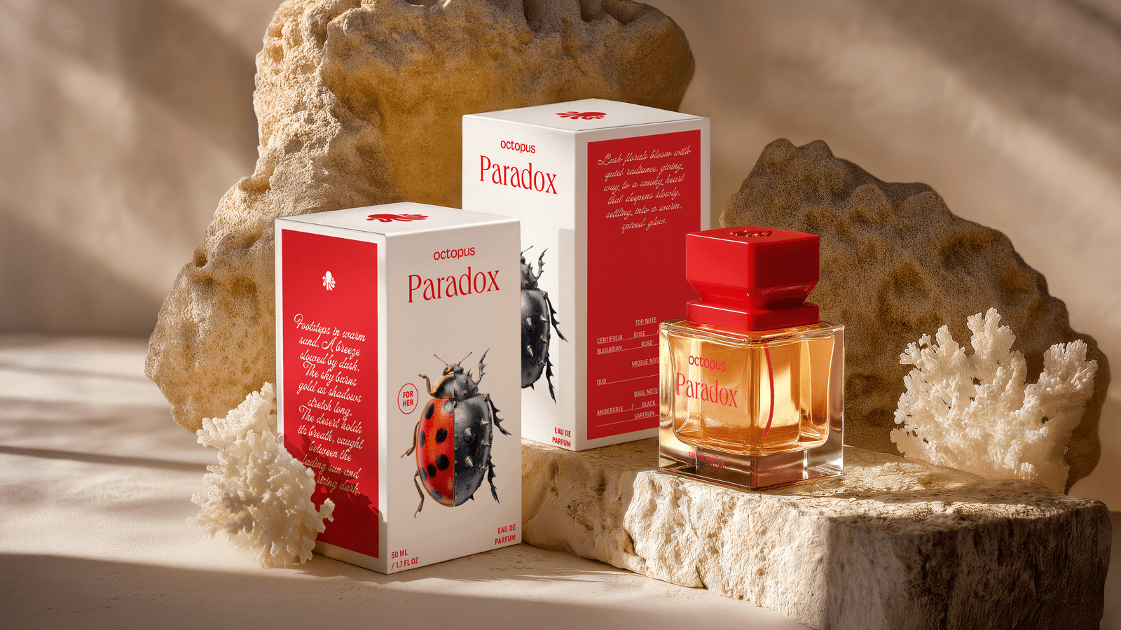 Paradox - image 4